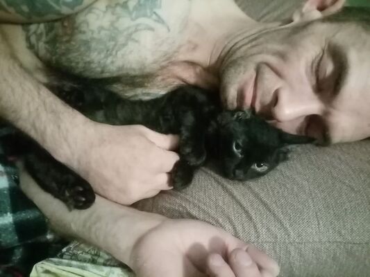  ,   Solomon, 48 ,   ,   