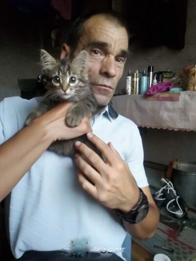  ,   , 52 ,   ,   