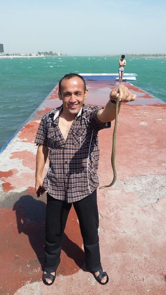  ,   Alisher, 44 ,   ,   , c 