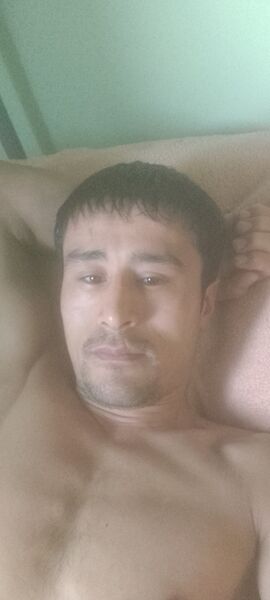  -,    , 36 ,   ,   