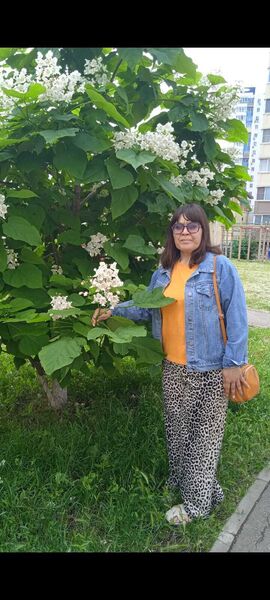  ,   , 44 ,   c 
