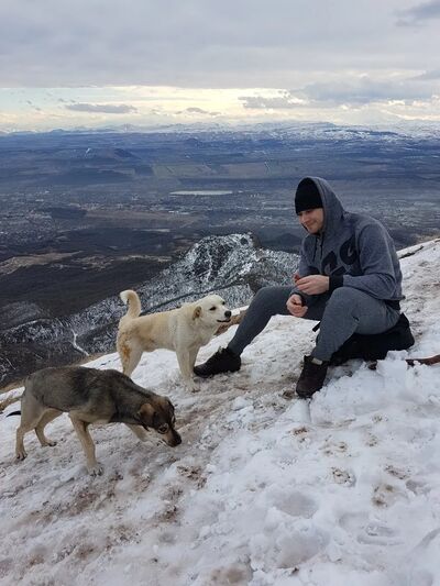  ,   Pavel, 34 ,   ,   , c , 