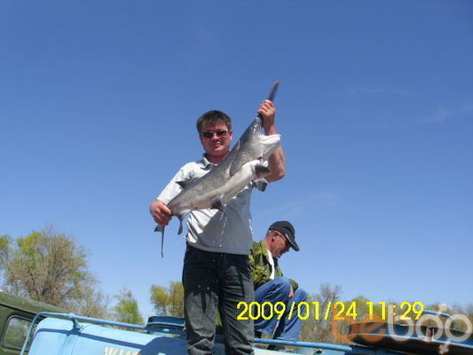 ���������� ������, ���� ������� ������, 50 ���, ������������ ��� ������