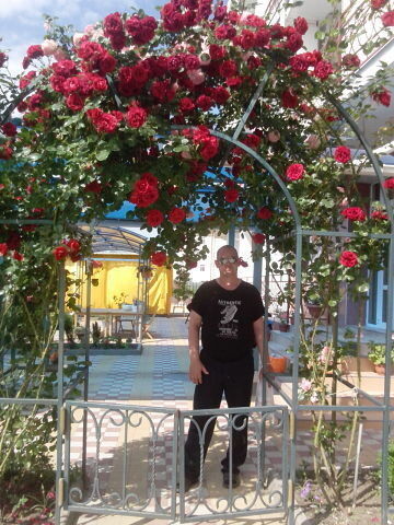  ,   , 53 ,   