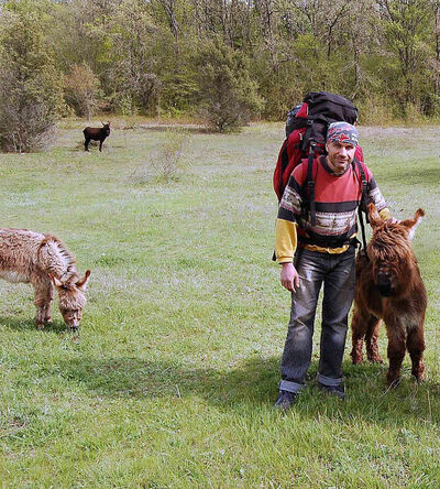  Dobre Miasto,   , 54 ,   