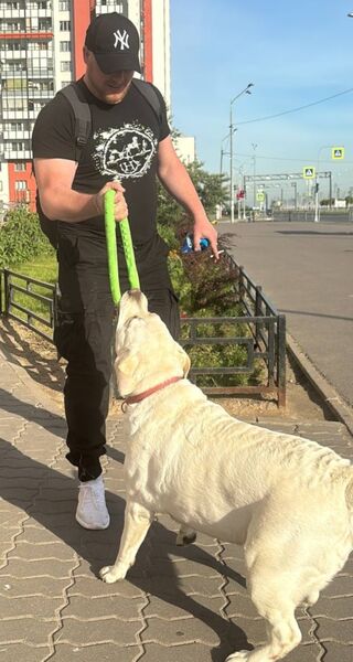  -,   , 37 ,   ,   , c , 