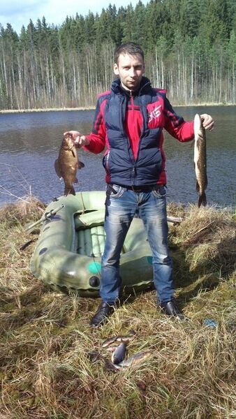  ,   Maks, 40 ,   