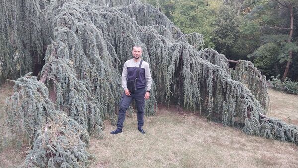  ,   , 44 ,   ,   , c , 