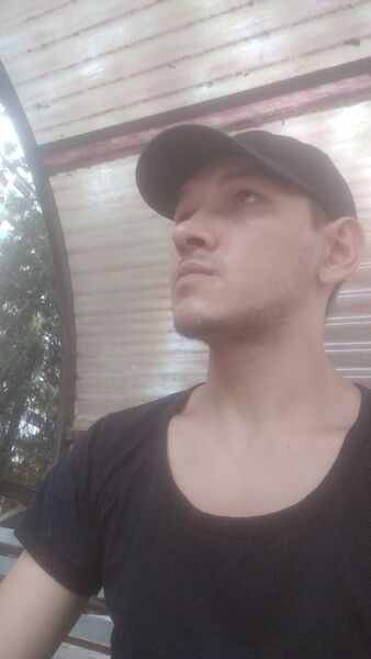  -,   , 31 ,   ,   