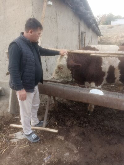  ,   Lazizjon, 19 ,   ,   