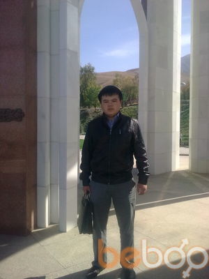  ,   Uil, 31 ,   
