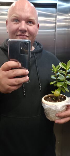  -,   , 34 ,   ,   