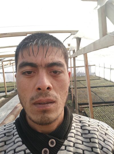  ,   Joxongir, 37 ,   ,   , c , 