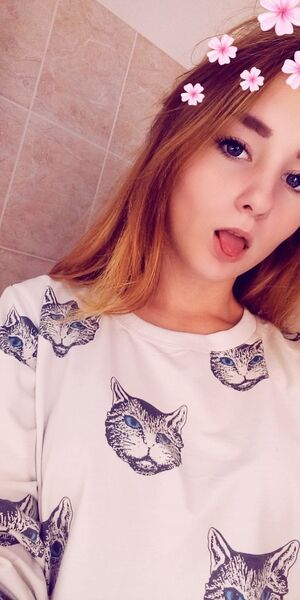  ,   , 24 ,  