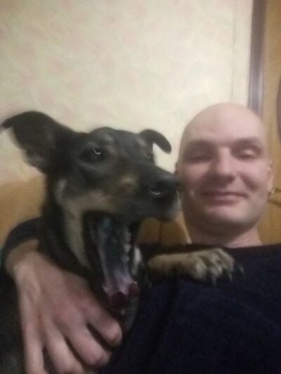  ,   , 43 ,  