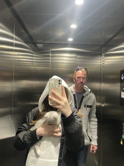  ,   , 53 ,   ,   