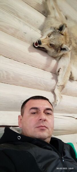  ,   , 46 ,   ,   