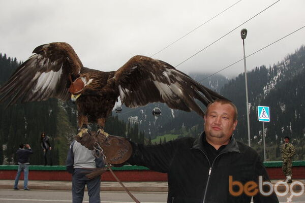  ,   Ulan, 41 ,   ,   , c 