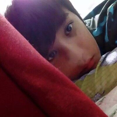  -,   Amir, 93 ,   ,   , c 