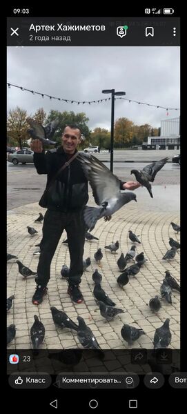  ,   Artek, 41 ,   c 