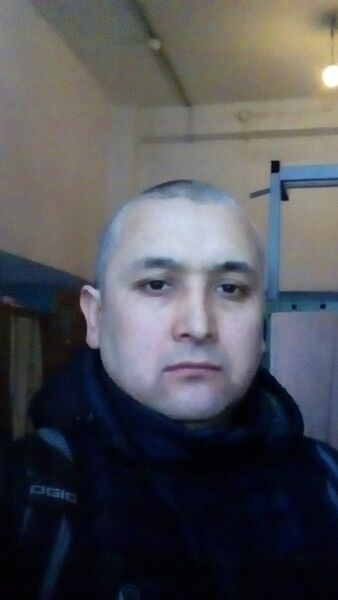  -,   , 41 ,  