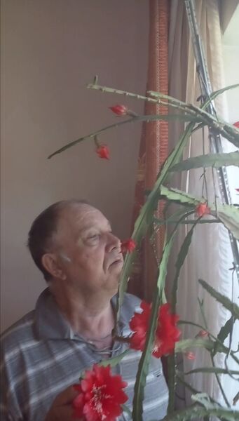  ,   , 73 ,   ,   , c 