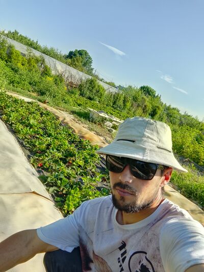  -,   , 31 ,   ,   