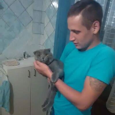  ,   , 31 ,   ,   , c 