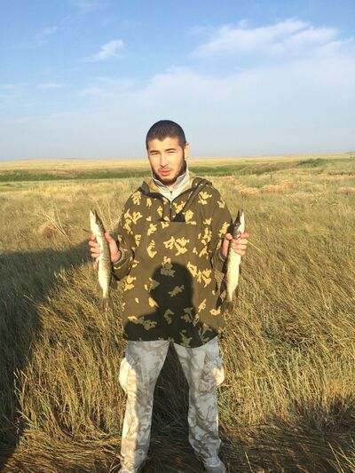  Vaslui,   , 38 ,   ,   , c 