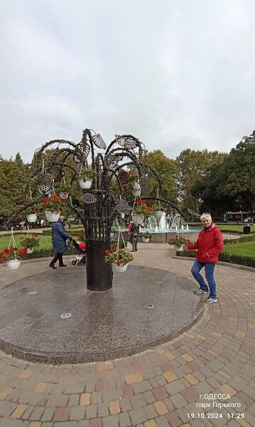  ,   , 62 ,   ,   , c 