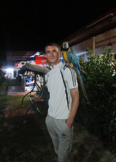 ���������� �����������, ���� ������� �����, 38 ���, ������������ ��� ������, ����� � ���������, c�������� ���������