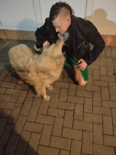  --,   , 29 ,   ,   