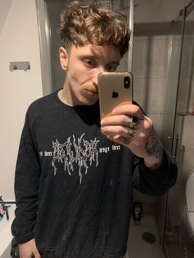 ,   Schnauzer, 28 ,   ,   