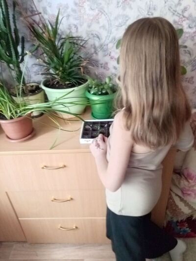  ,   , 19 ,   ,   