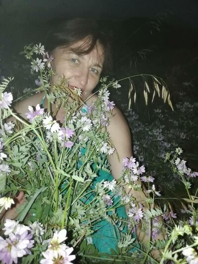  ,   , 53 ,     , c 