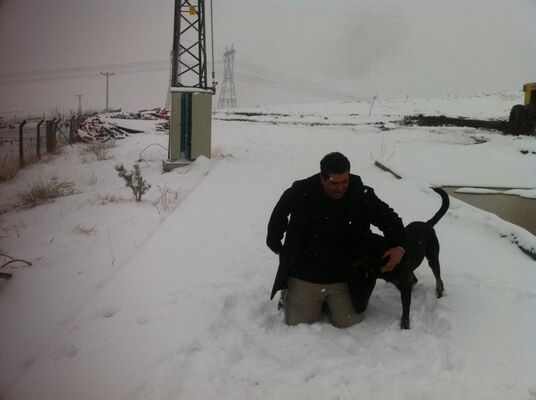  ,   Cenk, 48 ,   ,   , c 