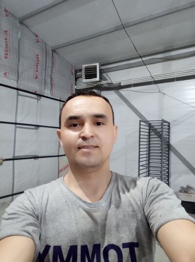  -,   , 38 ,   