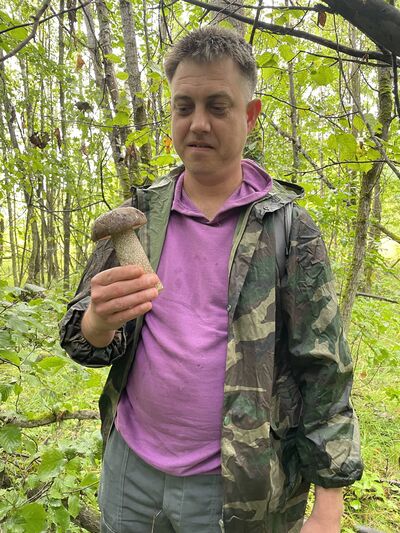  ,   , 41 ,   ,   , c 