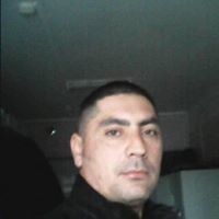  ,   , 43 ,   , 