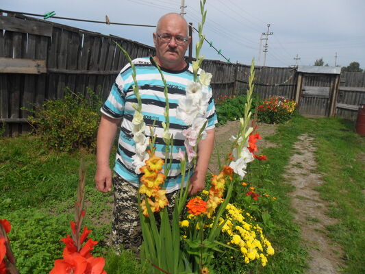  ,   , 61 ,  