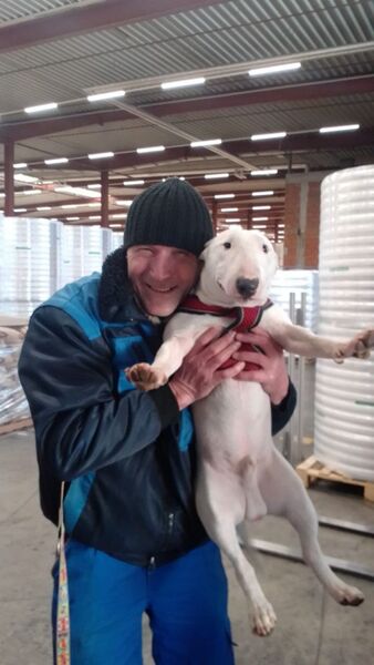  Erlangen,   Igor, 61 ,   ,   