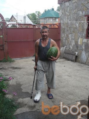  ,   Ajdar, 49 ,     , c 