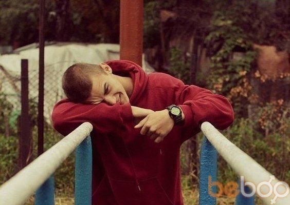 ���������� �������, ���� ������� Pooch, 35 ���, ������������ ��� ������, ����� � ���������, c�������� ���������