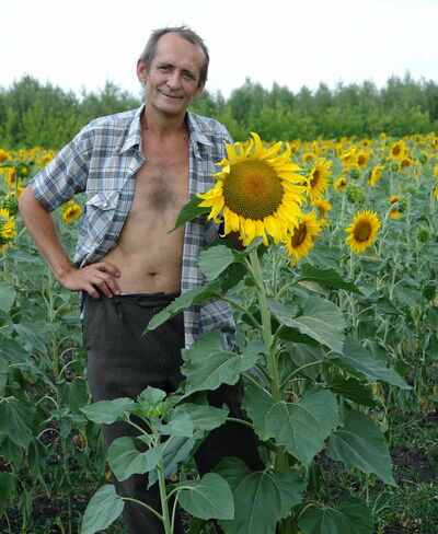  ,   , 65 ,  