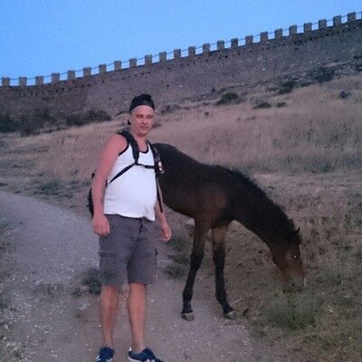  6486416  , 43 ,    -