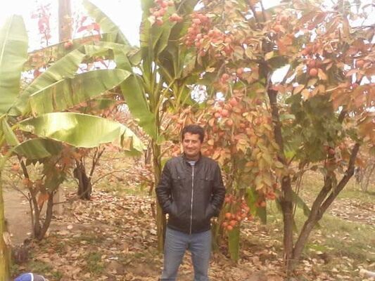  ,   , 55 ,   ,   , c , 