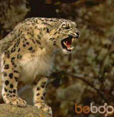  ,   Aaaaa, 39 ,   