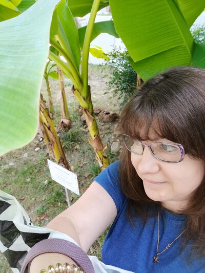  ,   , 59 ,   ,   , c 