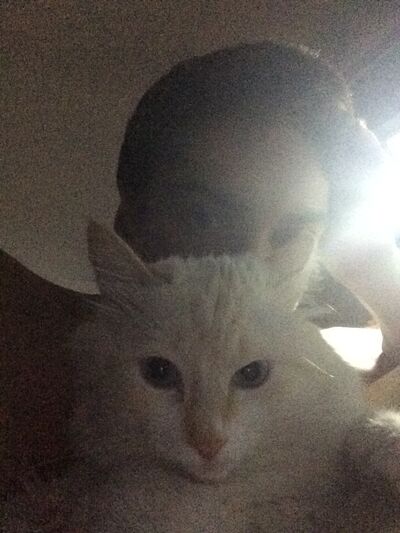  ,   Aleksandr, 29 ,   