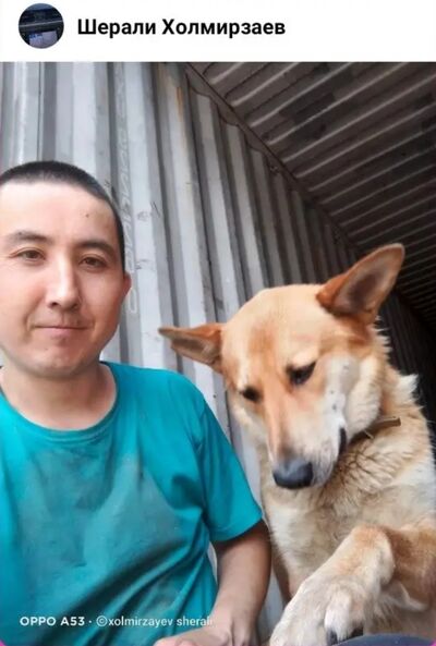  ,   Sherkan, 31 ,   ,   